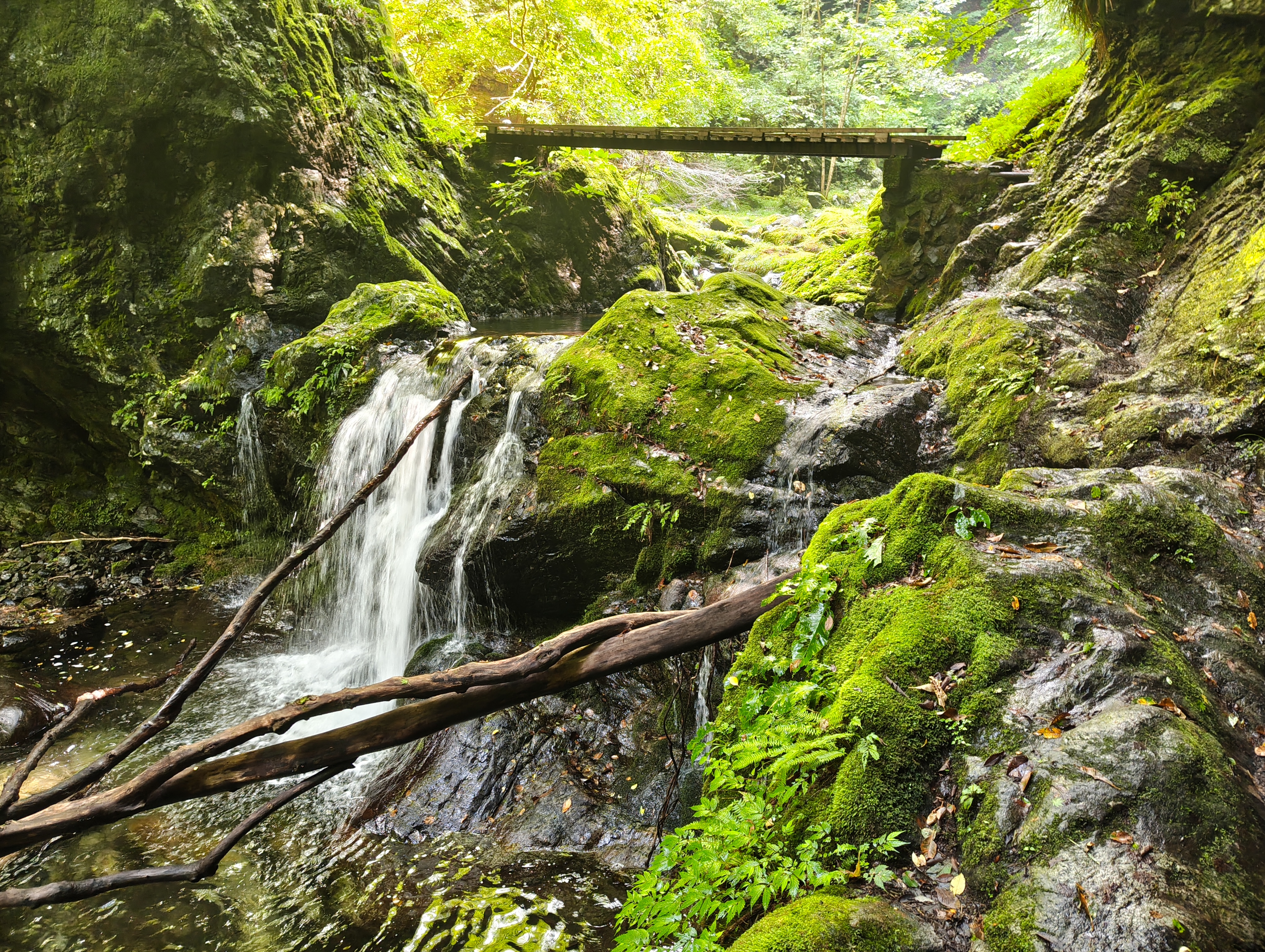 川苔山