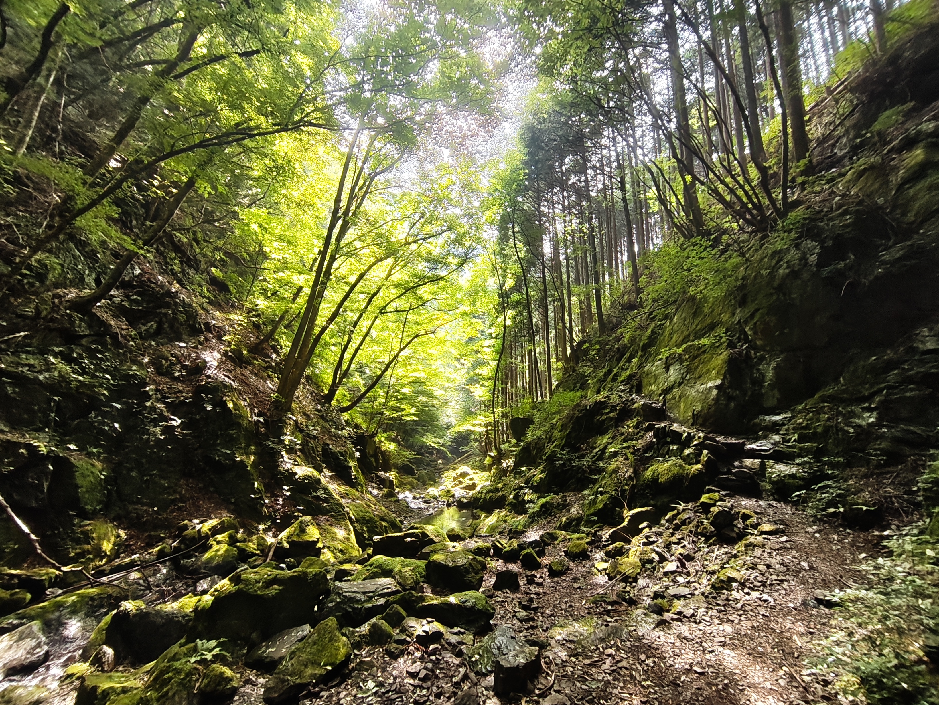 川苔山