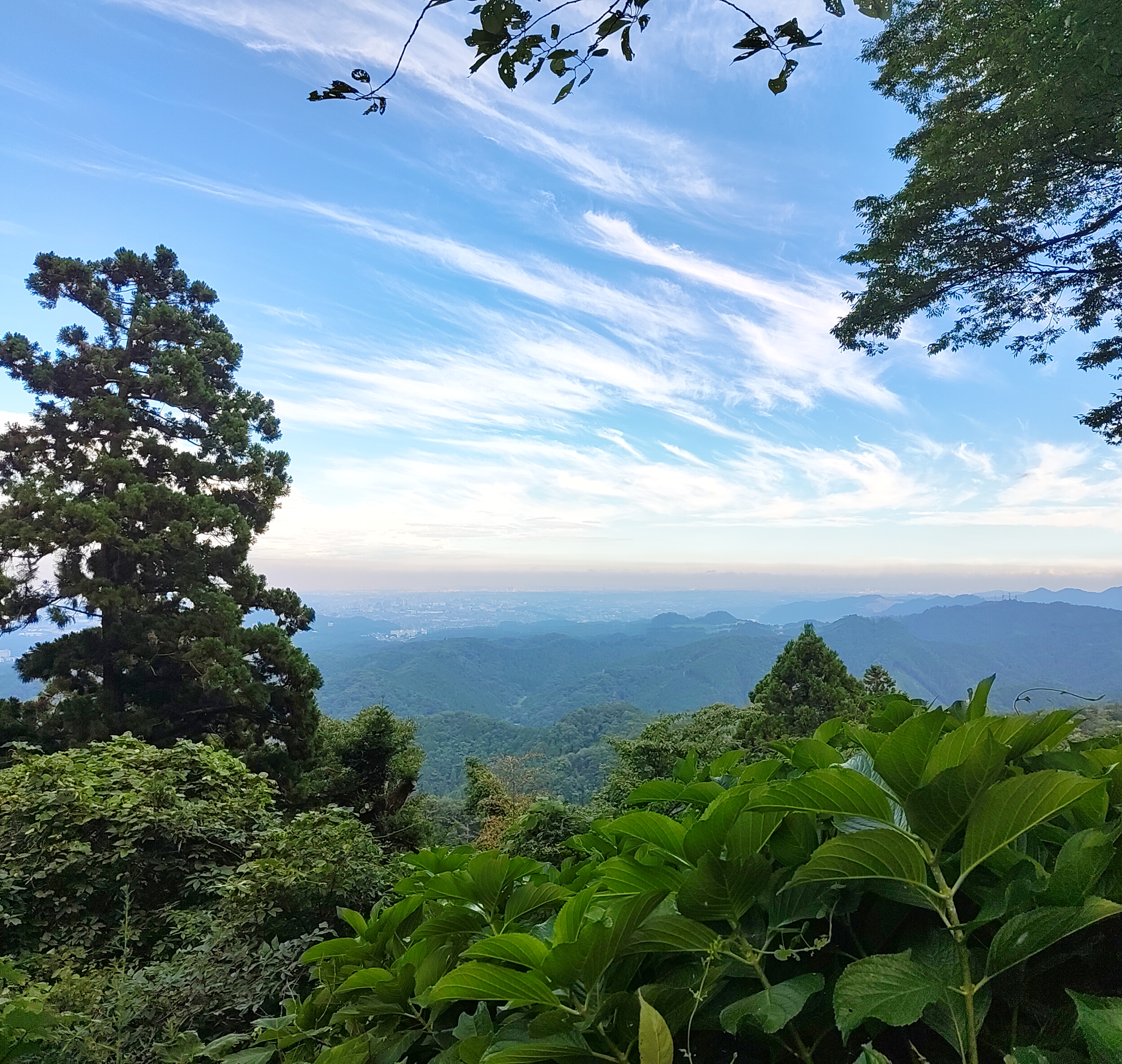 高尾山